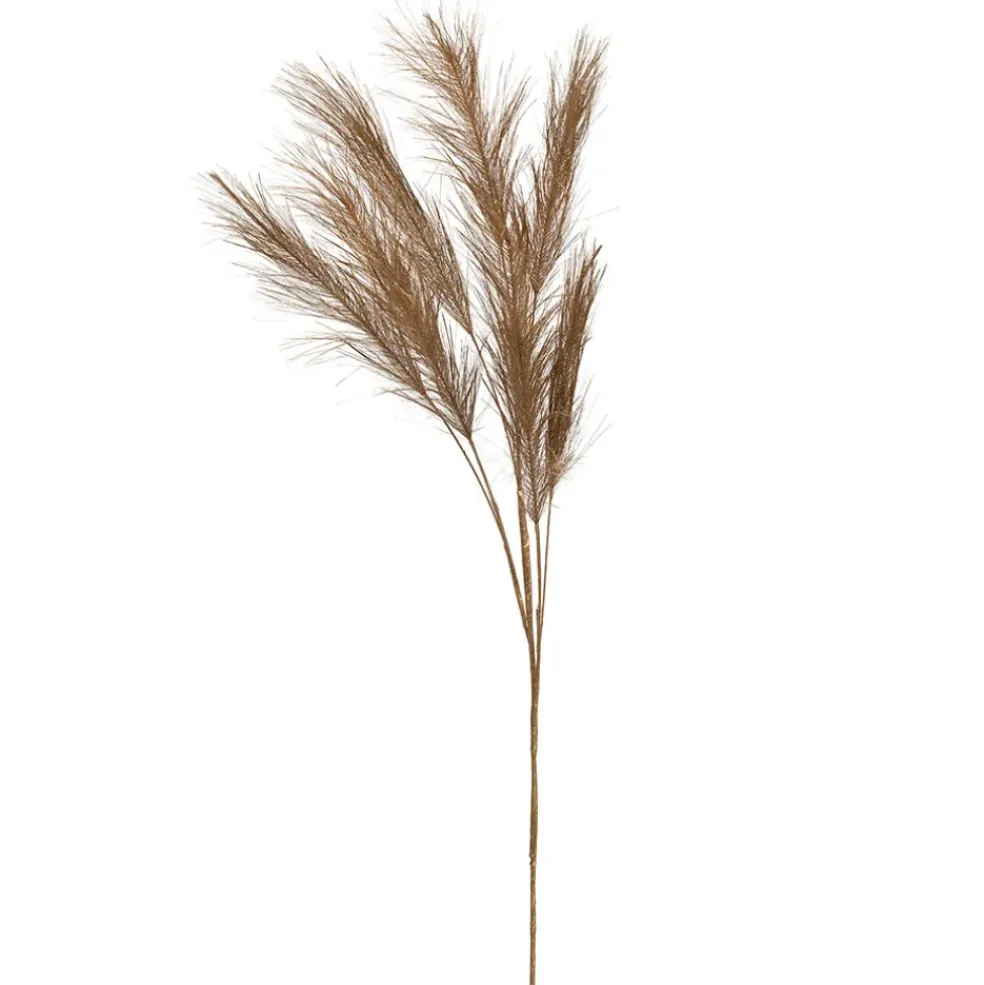Branchage pampa doré h75cm - Pampa