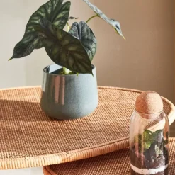 Cache pot en céramique vert d13.5cm