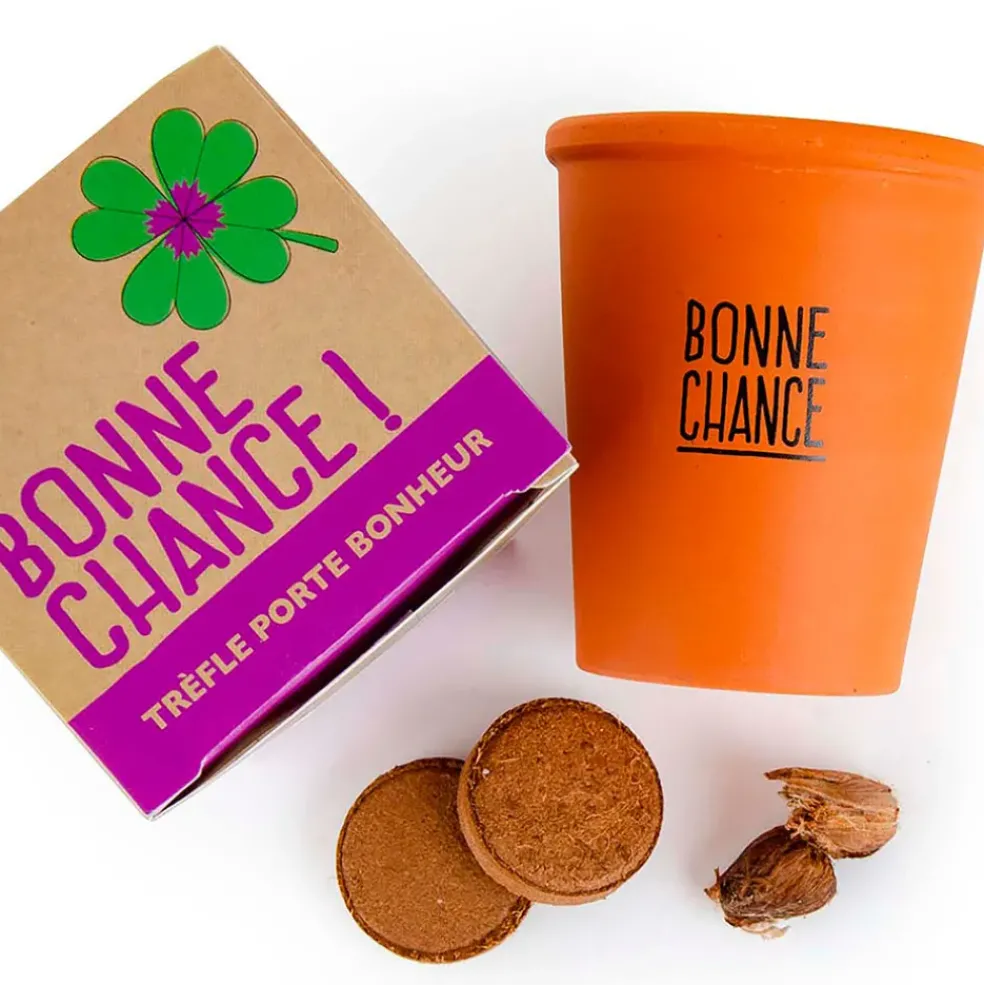 Kit message bonne chance - trèfle à 4 feuilles