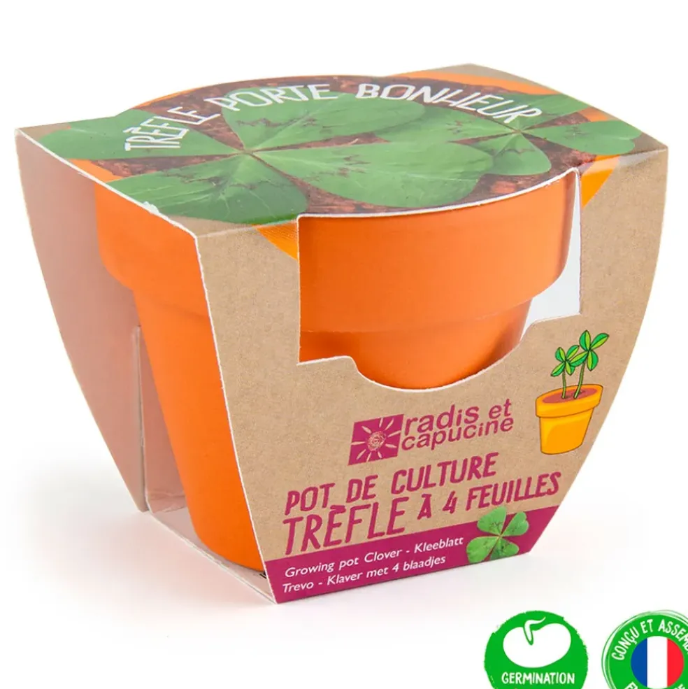 Mini kit d6cm terre cuite trèfle 4 feuilles