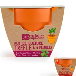 Mini kit d6cm terre cuite trèfle 4 feuilles