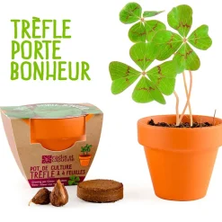 Mini kit d6cm terre cuite trèfle 4 feuilles